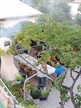 Apartmaji Vidolin
