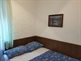 Apartmaji Runje